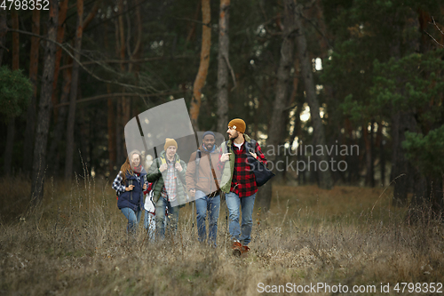 Image of Group of friends on a camping or hiking trip in autumn day