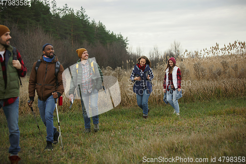 Image of Group of friends on a camping or hiking trip in autumn day