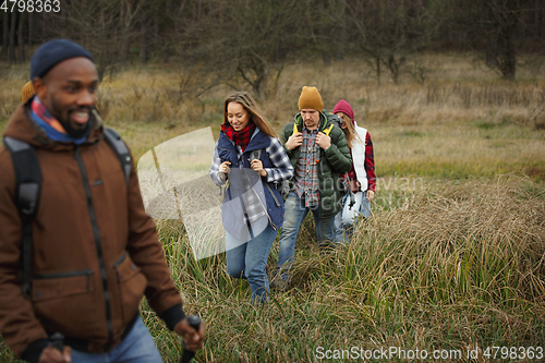 Image of Group of friends on a camping or hiking trip in autumn day