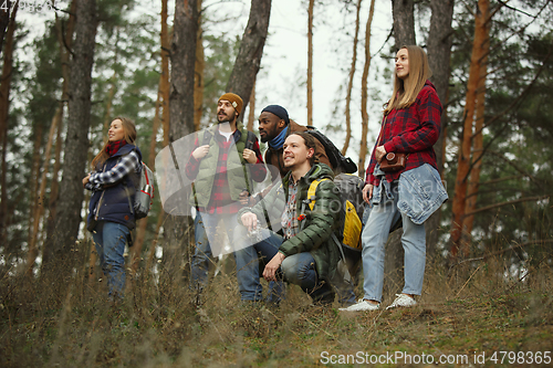 Image of Group of friends on a camping or hiking trip in autumn day