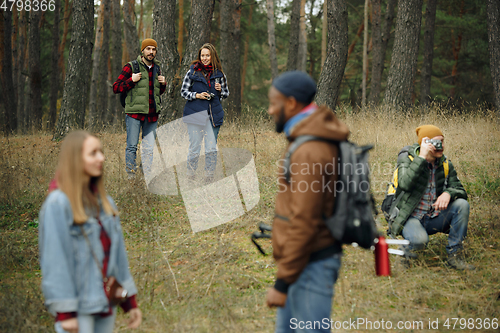 Image of Group of friends on a camping or hiking trip in autumn day