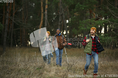 Image of Group of friends on a camping or hiking trip in autumn day