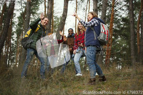 Image of Group of friends on a camping or hiking trip in autumn day