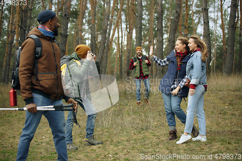 Image of Group of friends on a camping or hiking trip in autumn day