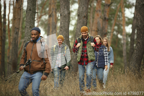 Image of Group of friends on a camping or hiking trip in autumn day