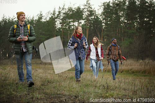 Image of Group of friends on a camping or hiking trip in autumn day