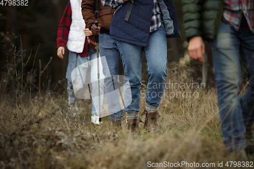 Image of Group of friends on a camping or hiking trip in autumn day