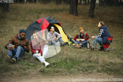 Image of Group of friends on a camping or hiking trip in autumn day