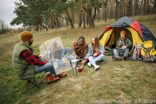 Image of Group of friends on a camping or hiking trip in autumn day