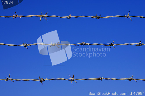 Image of Barbed wire fence detail