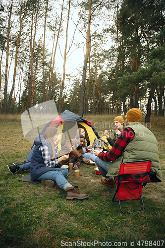 Image of Group of friends on a camping or hiking trip in autumn day