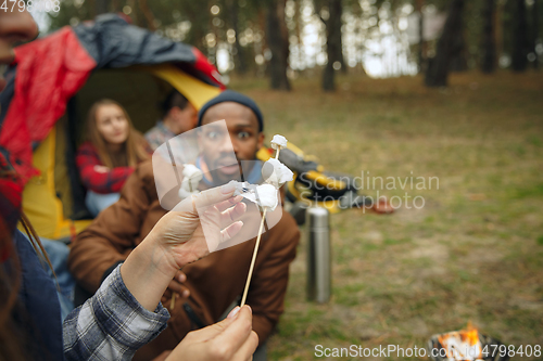 Image of Group of friends on a camping or hiking trip in autumn day