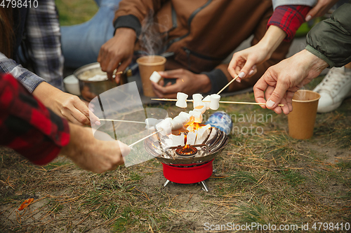 Image of Group of friends on a camping or hiking trip in autumn day