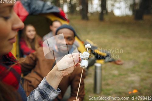 Image of Group of friends on a camping or hiking trip in autumn day