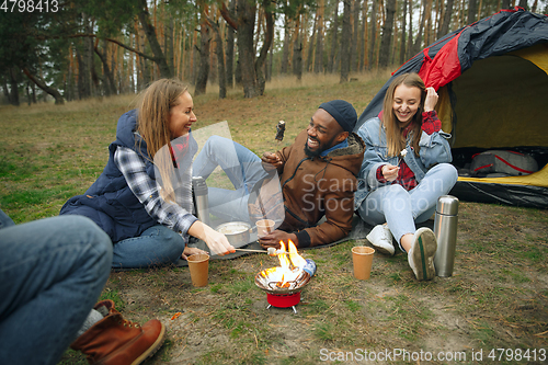 Image of Group of friends on a camping or hiking trip in autumn day