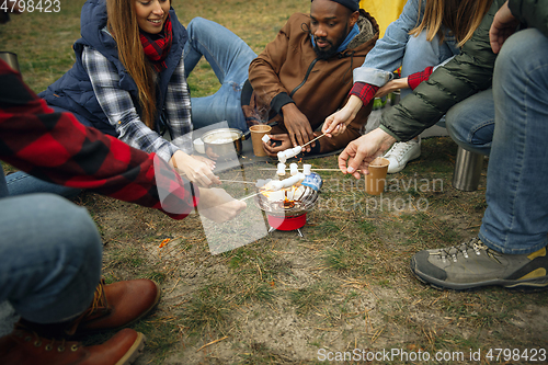 Image of Group of friends on a camping or hiking trip in autumn day