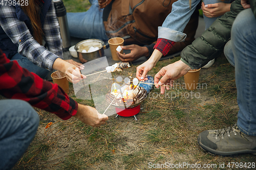 Image of Group of friends on a camping or hiking trip in autumn day