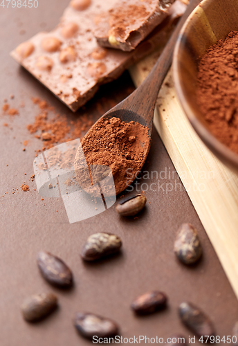 Image of chocolate with hazelnuts, cocoa beans and powder