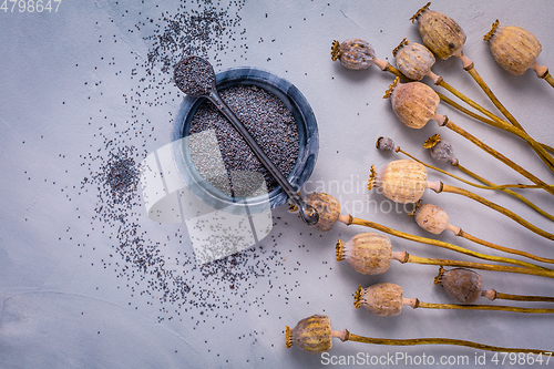 Image of Bunch of poppy heads and bowl with seeds on kitchen table