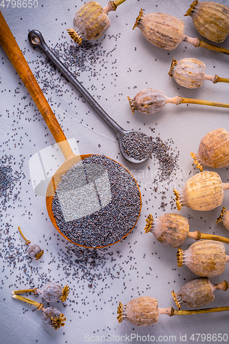 Image of Bunch of poppy heads and bowl with seeds on kitchen table