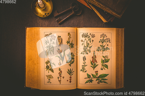 Image of Old antique book with pictures of healing and poisonous plant with candle in vintage style 