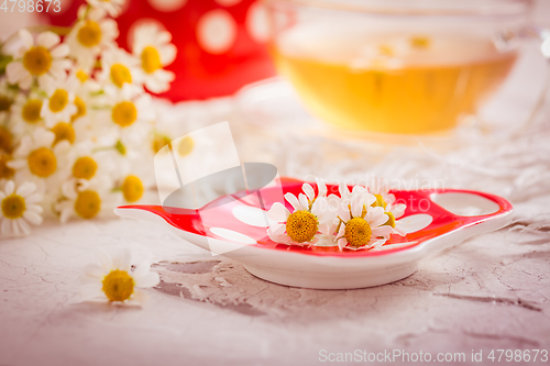 Image of Chamomile herbal tea (Matricaria chamomilla) on kitchen table