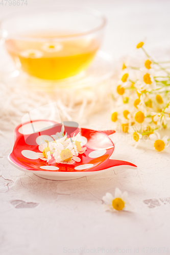 Image of Chamomile herbal tea (Matricaria chamomilla) on kitchen table