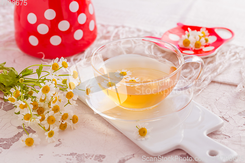 Image of Chamomile herbal tea (Matricaria chamomilla) on kitchen table