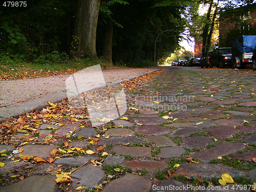 Image of Stone roadway, yellow leaves.