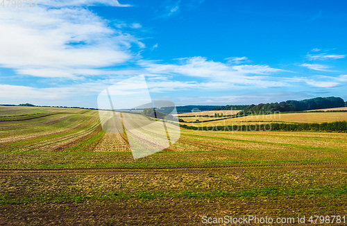 Image of HDR English country panorama in Salisbury