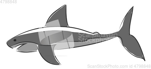 Image of A blue shark in jumping out of water vector or color illustratio