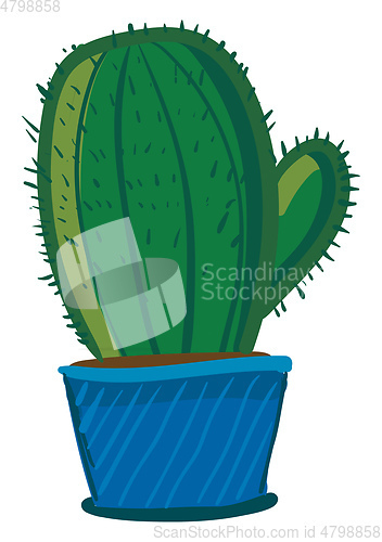 Image of A dome shaped cactus plant in a blue flower pot vector color dra