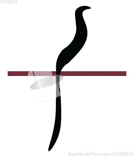 Image of Black bird vector or color illustration