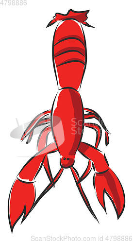 Image of Red crayfish vector illsutration on white background.