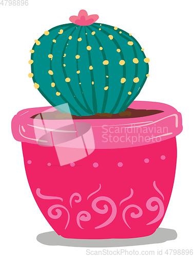 Image of A round shape cactus with pink flower in a pink pot provides ext