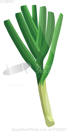 Image of Light green leeks with dark green leafs vector illustration of v