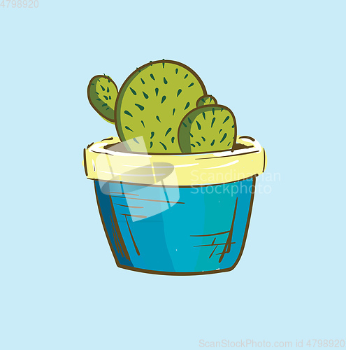 Image of Indoor cactus decoration plant in a blue pot provides extra styl