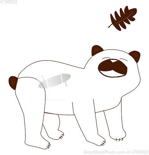 Image of Bear vector color illustration.