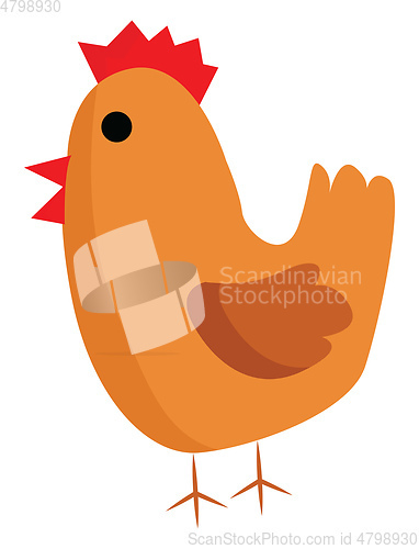 Image of A brown chicken vector or color illustration