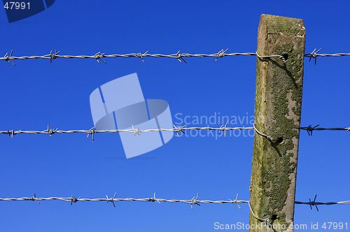 Image of Barbed wire fence