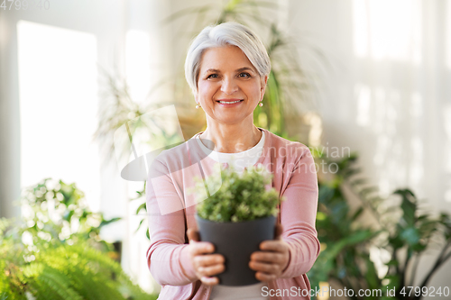 Image of happy senior woman with flower in pot at home