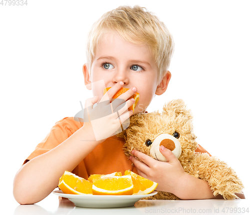 Image of Portrait of a little boy with his teddy bear