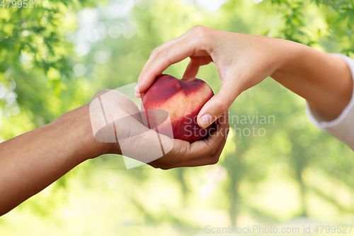 Image of multiracial couple hands with peach over green