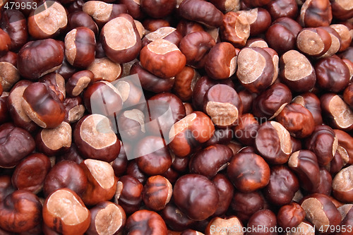 Image of chestnuts background