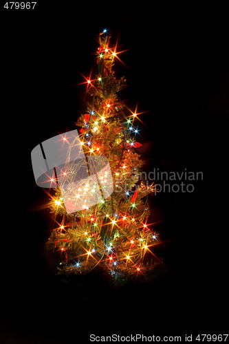 Image of xmas tree