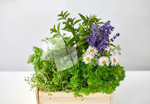 Image of green herbs and flowers in wooden box on table