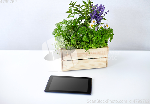 Image of tablet computer with herbs and flowers in box