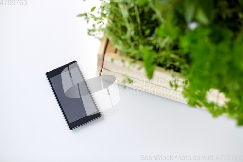 Image of smartphone with herbs and flowers in box