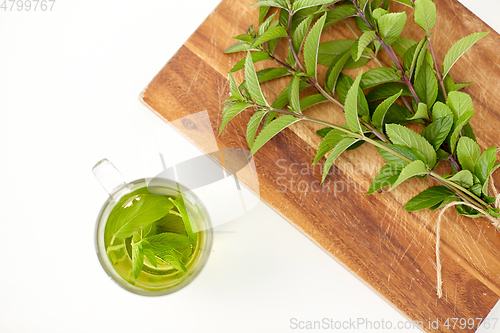 Image of herbal tea with fresh peppermint on wooden board