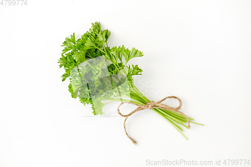 Image of bunch of parsley on white background